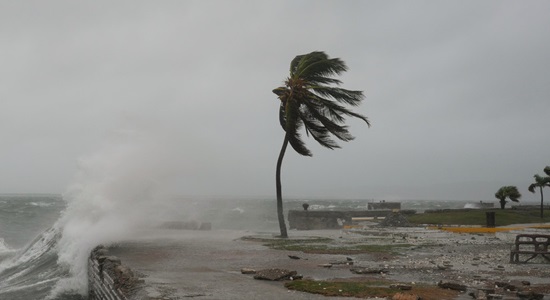 melissa viento Jamaica