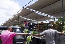 Variación del IPC de diciembre fue de 0.84 %