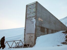 Bóveda del Juicio Final alberga más de 5.000 especies de plantas