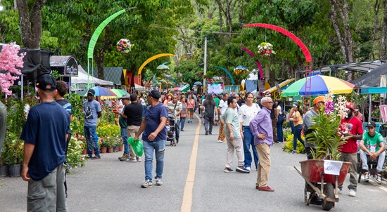 Festival de las flores Jarabacoa