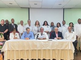 Movimientos médicos denuncian «crisis calamitosa» en salud