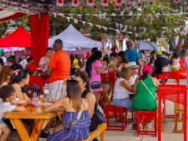 “DAJAPÓN Fest” recibió unas 15 mil personas