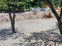 Familia denuncia Turismo mantiene ocupados terrenos
