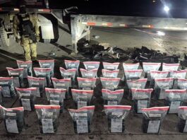 Incautan cocaína en Puerto Don Diego y Aeropuerto de Punta Cana